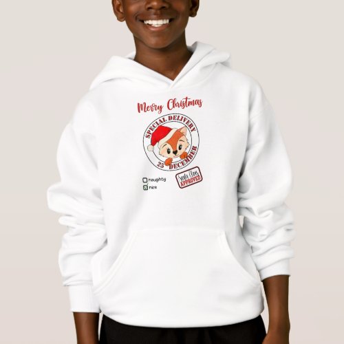  Santa Approved Special Delivery Naughty Nice Hoodie