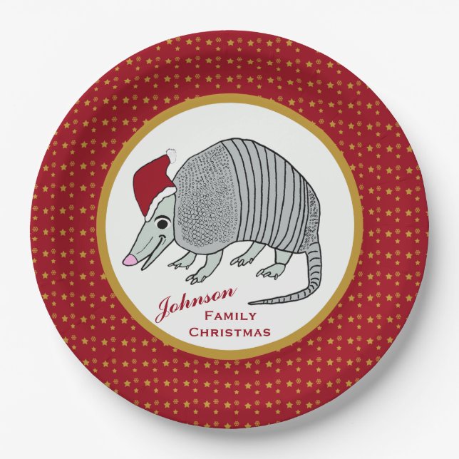 Santa Armadillo Stars Christmas Paper Plates (Front)
