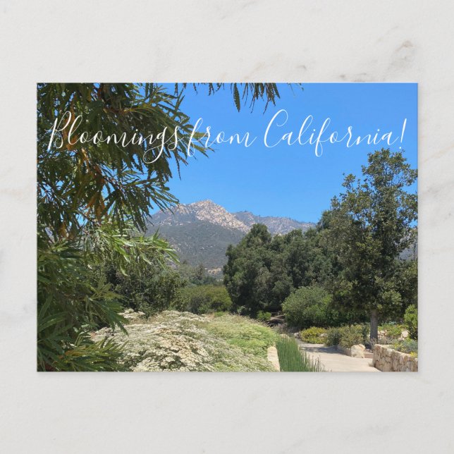 Santa Barbara Botanic Garden Postcard (Front)