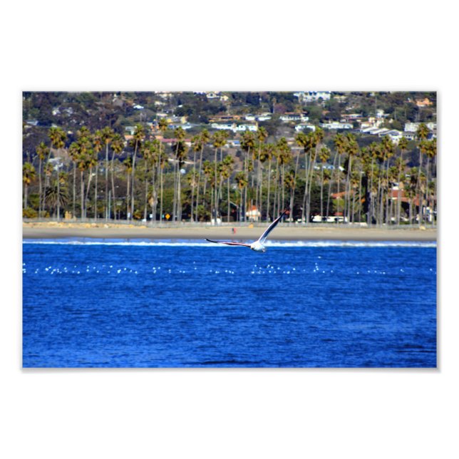 Santa Barbara, CA Photo Print (Front)