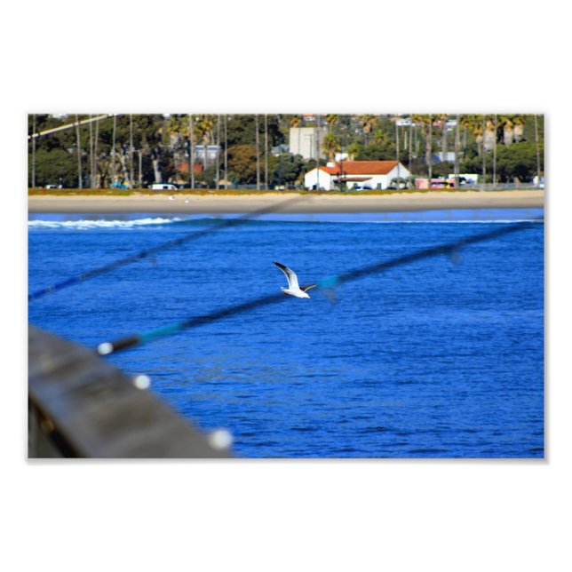 Santa Barbara, CA Photo Print (Front)