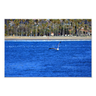 Santa Barbara, CA Photo Print