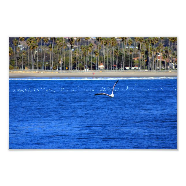 Santa Barbara, CA Photo Print (Front)