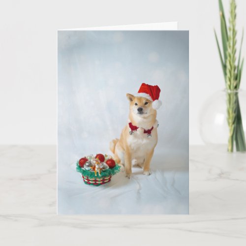 Santa Barkley Greeting Card wwhite envelope