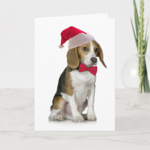 Santa Beagle Christmas Card
