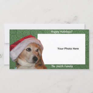 Santa Beagle Photo Christmas Card