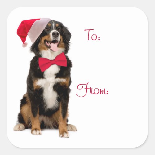 Santa Berner Gift Labels