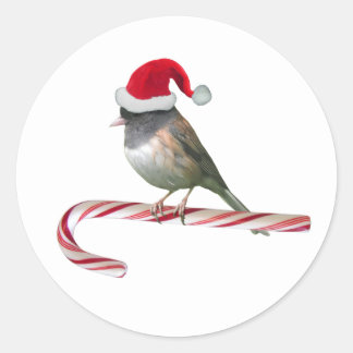 Santa Bird on Candy Cane Stickers