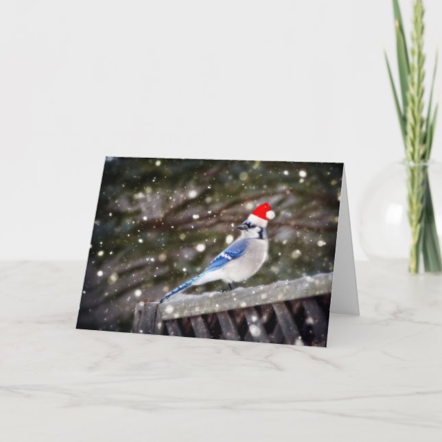Santa Blue Jay Holiday Card (Front)