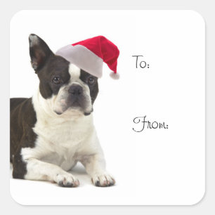 Santa Boston Terrier Gift Stickers
