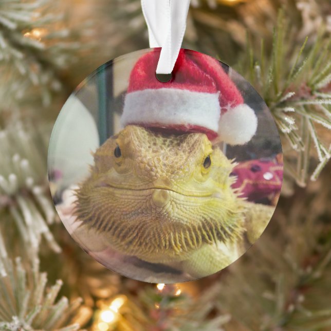 Santa Bubbs Acrylic Ornament (Tree)