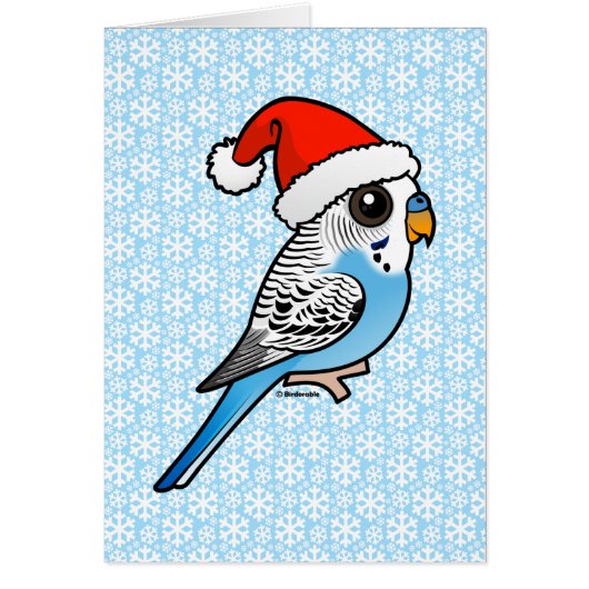 Santa Budgie Blue (Front)