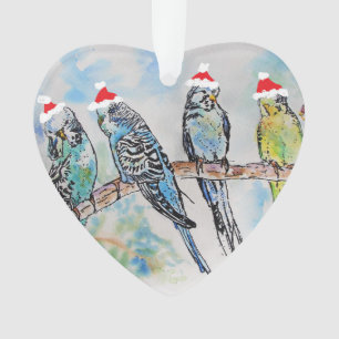 Santa Budgies Budgie Christmas Children Decoration