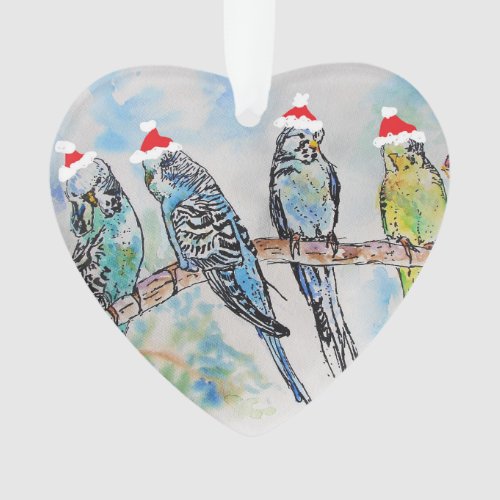 Santa Budgies Budgie Christmas Children Decoration