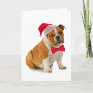 Santa Bulldog Christmas Card