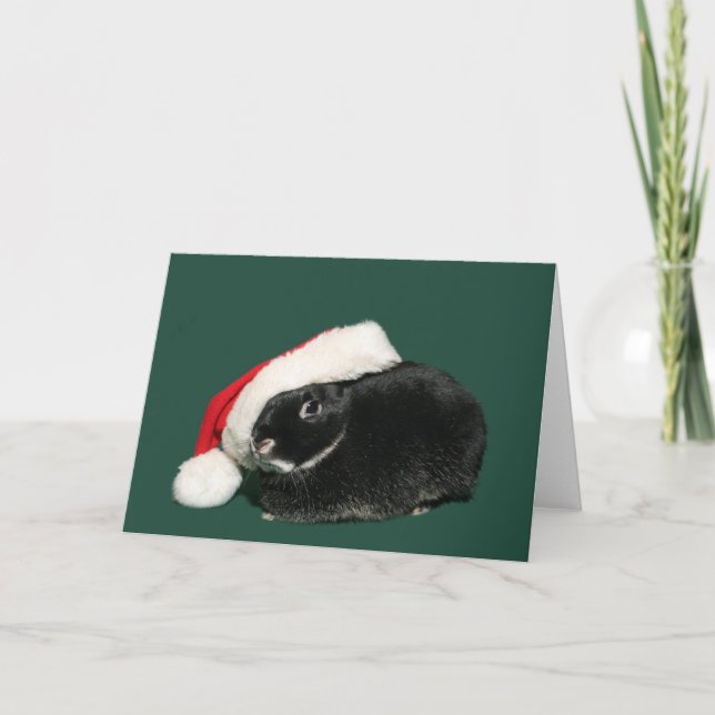 Santa bunny holiday card (Front)