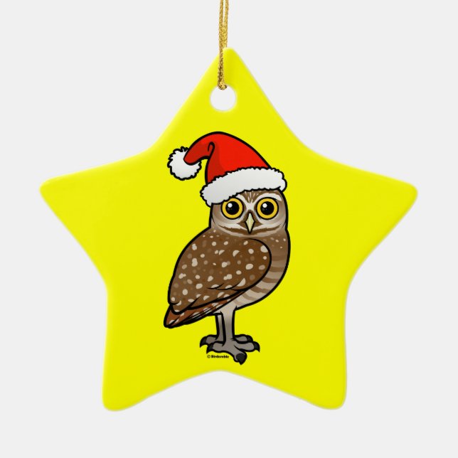 Santa Burrowing Owl Ceramic Ornament (Front)