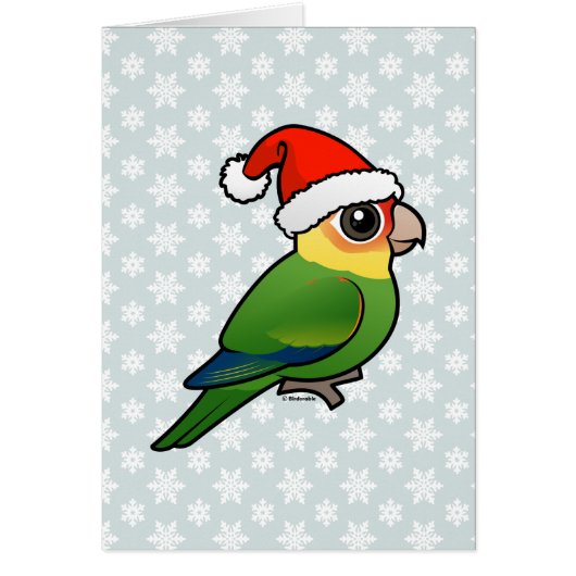 Santa Carolina Parakeet Cards (Front)