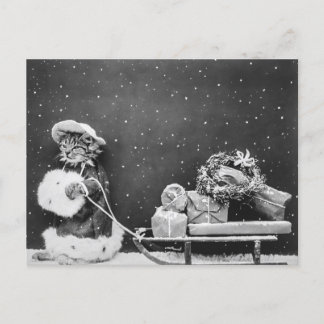 Santa Cat, a Santa Claus cat Postcard