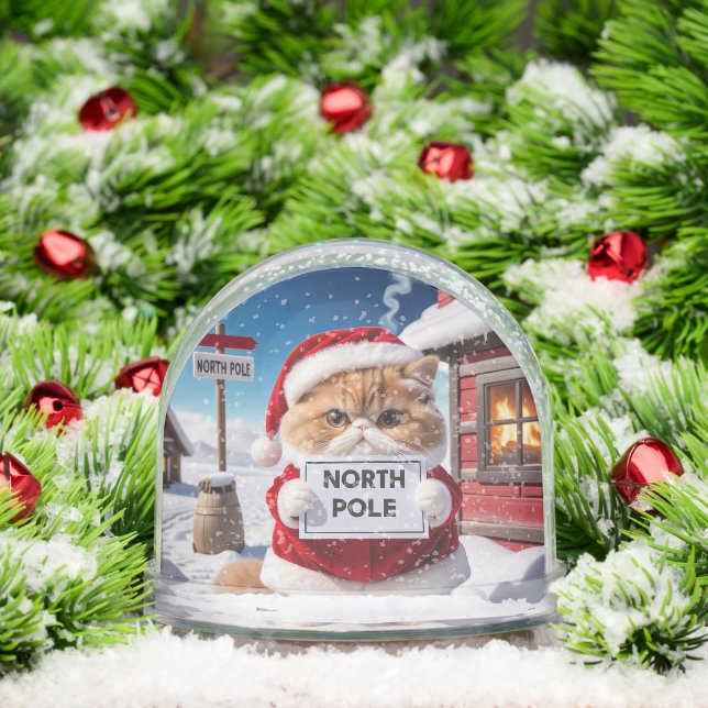 Santa Cat at North Pole or Your Cat Photos  Snow Globe (Christmas)
