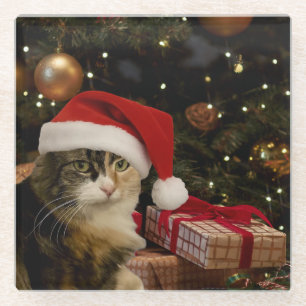 Santa Cat by the Christmas Tree Glass Coaster