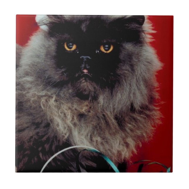 Santa Cat Ceramic Tile (Front)