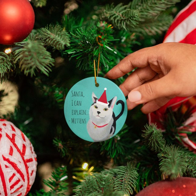 Santa Cat Funny Personalized Metal Ornament (Creator Uploaded)