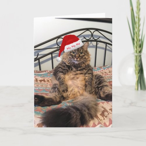 Santa Cat Gets Cookies Christmas Card