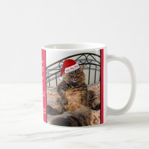 Santa Cat Gets Milk and Cookies Christmas Mug