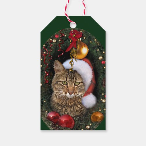 Santa Cat Gift Tags
