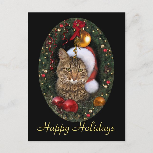 Santa Cat Holiday Postcard (Front)