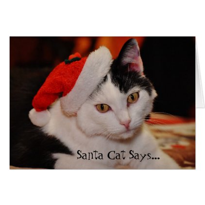 Santa Cat Lover Fun Christmas Card