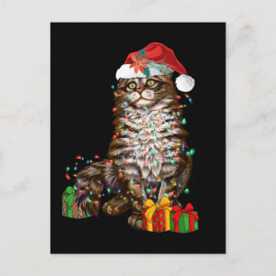 Santa Cat Lover Funny Christmas Kitten Xmas Postcard