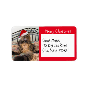 Santa Cat Merry Christmas Address Labels