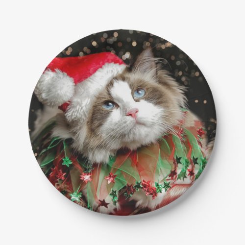 Santa Cat Paper Plates