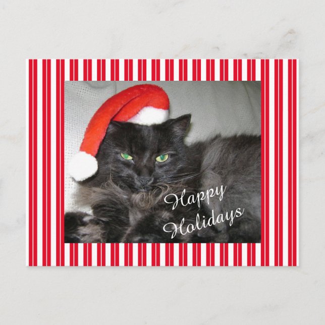 Santa Cat Striped Christmas Postcard (Front)
