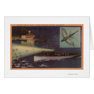 Santa Catalina Island, CA Casino, Flying Fish Cards
