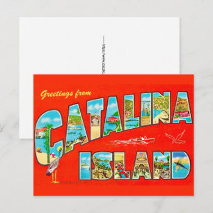 Santa Catalina Island Postcard