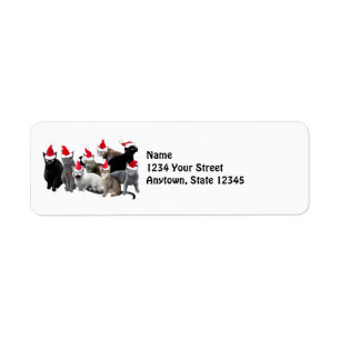Santa Cats Return Address Labels