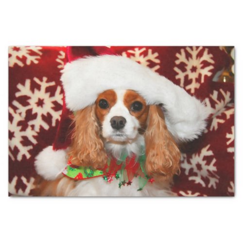 Santa Cavalier King Charles Spaniel Tissue Paper