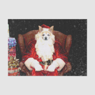 Santa Chihuahua Dog Red Funny Christmas Holiday Tissue Paper