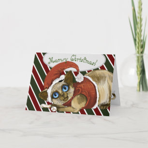 Santa Christmas Kitty Holiday Card