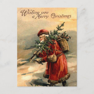 Santa Claus and Christmas Tree Postcard