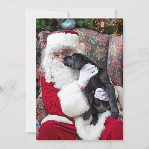 Santa Claus Black Lab Puppy Dog Labrador Christmas Holiday Card