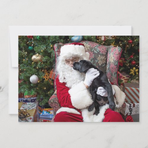 Santa Claus Black Labrador Christmas Cute Puppy Holiday Card