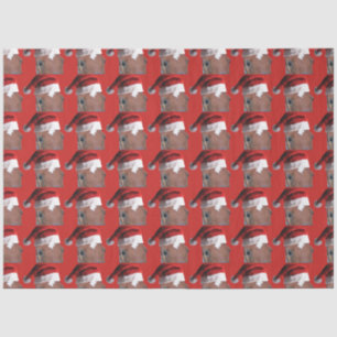 Santa Claus Christmas Horse Tissue Paper