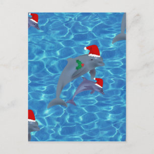 santa claus dolphins holiday postcard