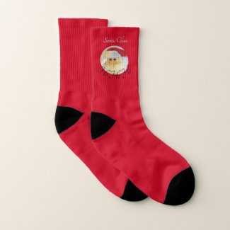 Santa Claus Face Ho Ho Ho with Name Red Christmas