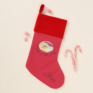 Santa Claus Face Ho Ho Ho with Name Red