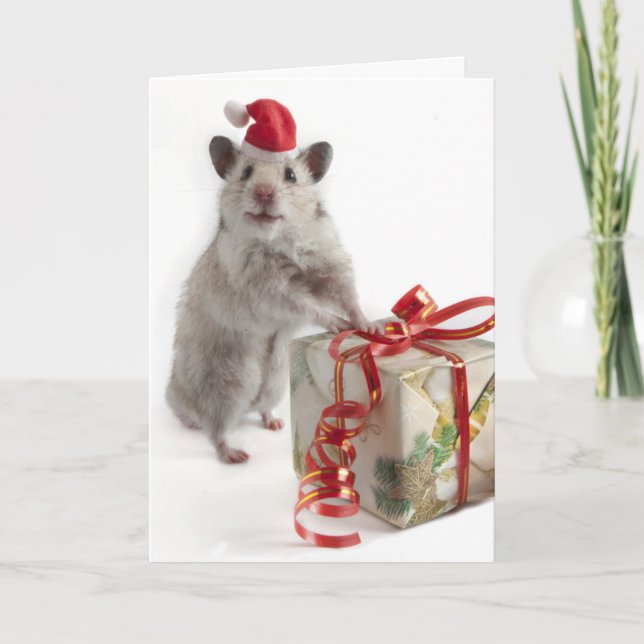 Santa Claus Hamster With Gift Holiday Card (Front)